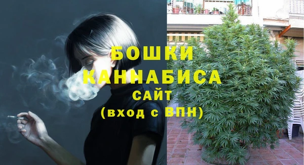 ГАЛЛЮЦИНОГЕННЫЕ ГРИБЫ Надым
