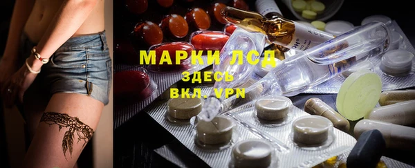 ГАЛЛЮЦИНОГЕННЫЕ ГРИБЫ Надым