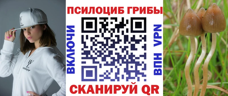 Псилоцибиновые грибы Magic Shrooms  Купить где  Спас-Деменск 