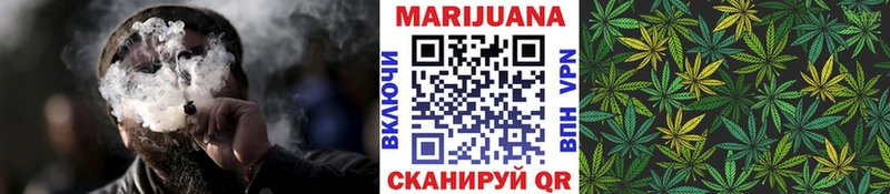 Конопля сатива  Купить  Спас-Деменск 
